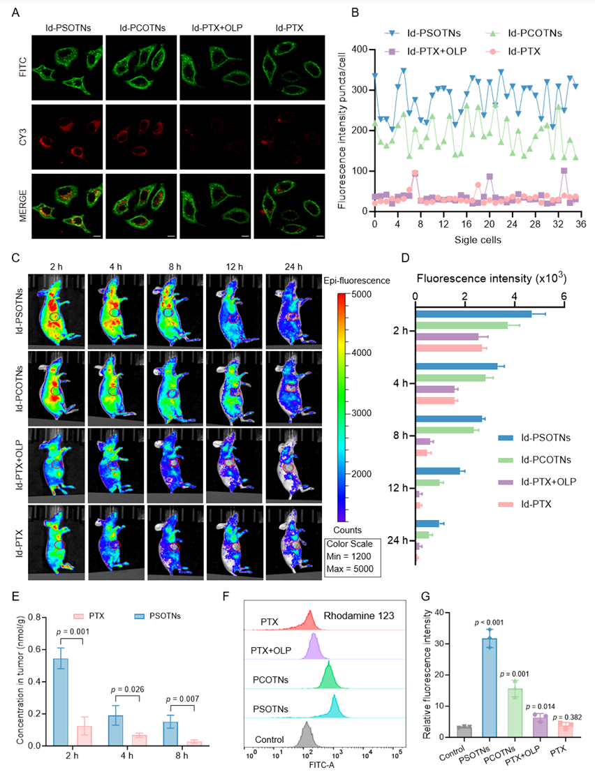 科技前沿丨GSH/ROS雙響應(yīng)自組裝多組分前藥用于耐藥性非小細(xì)胞肺癌的治療