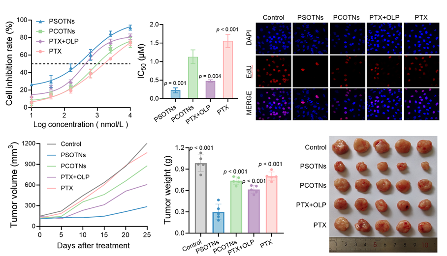 科技前沿丨GSH/ROS雙響應(yīng)自組裝多組分前藥用于耐藥性非小細(xì)胞肺癌的治療