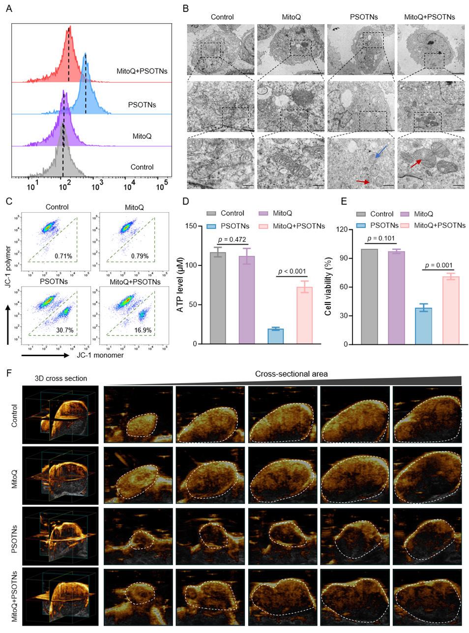 科技前沿丨GSH/ROS雙響應(yīng)自組裝多組分前藥用于耐藥性非小細(xì)胞肺癌的治療