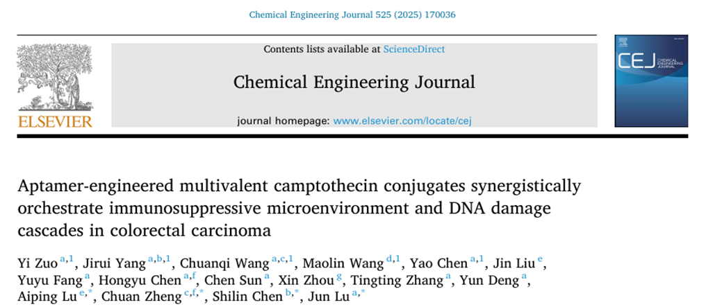 科技前沿丨核酸適配體工程化多價(jià)喜樹堿偶聯(lián)物協(xié)同治療結(jié)直腸癌